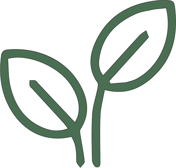 Seed icon